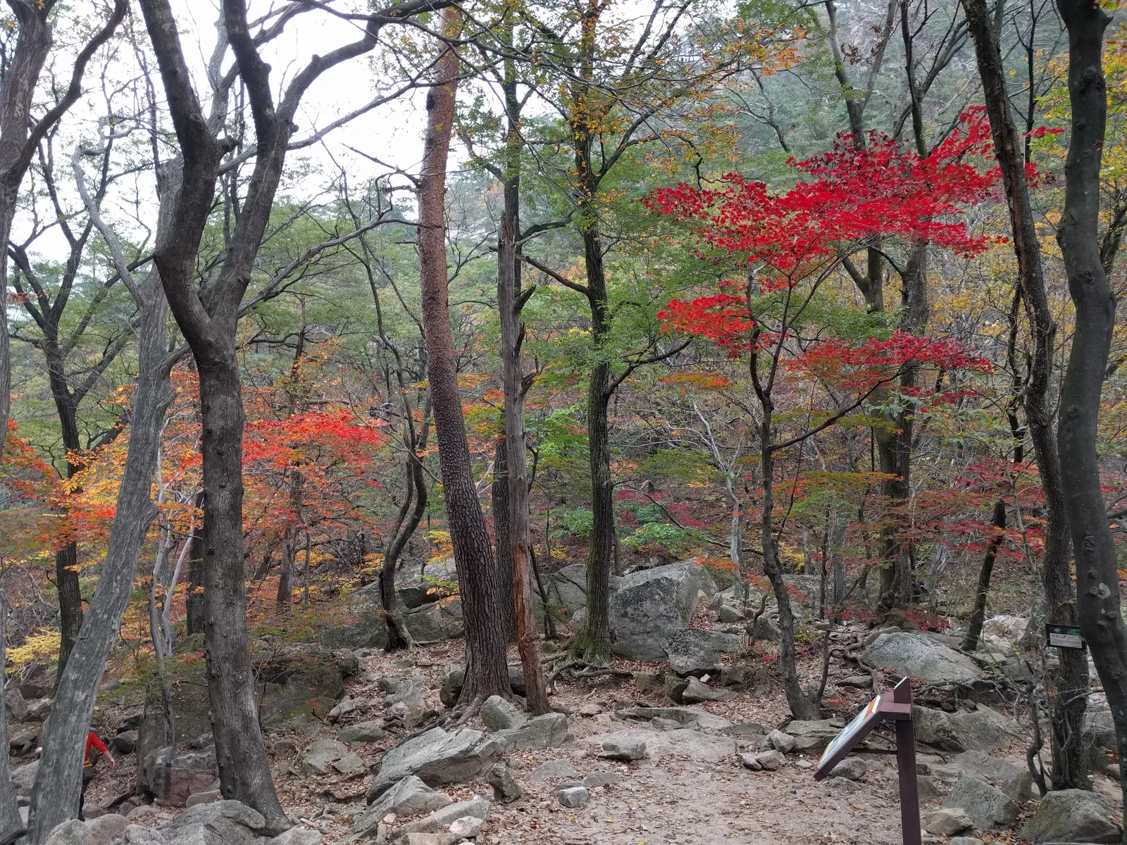 Sokcho, South Korea — 20 October 2016