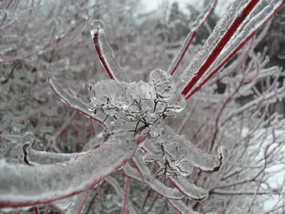 Photo from 26 December 2010