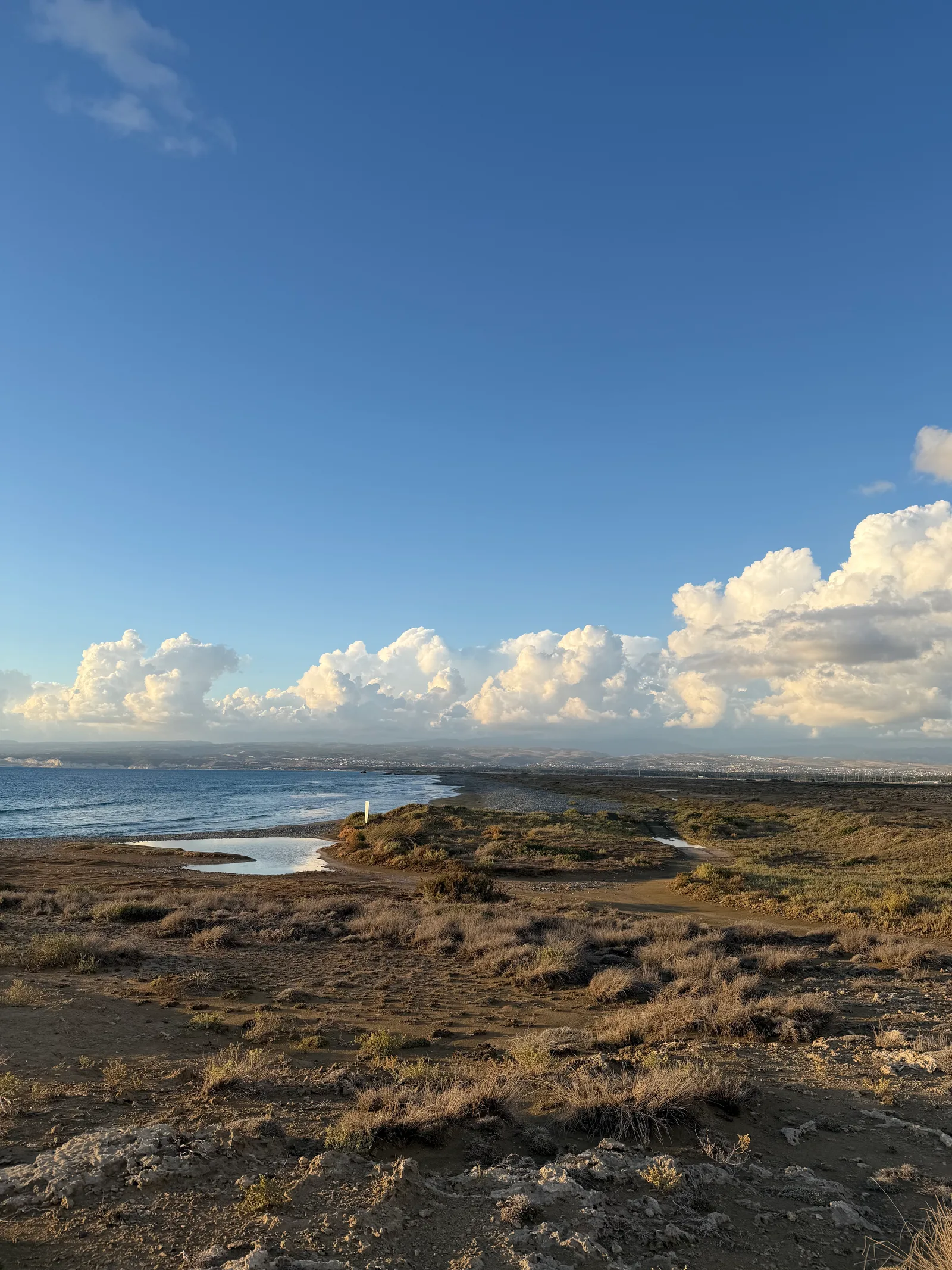Trachóni, Cyprus — 4 October 2026