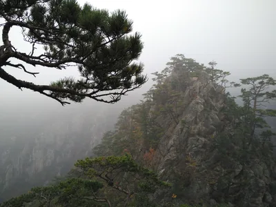 Sokcho, South Korea — 20 October 2016