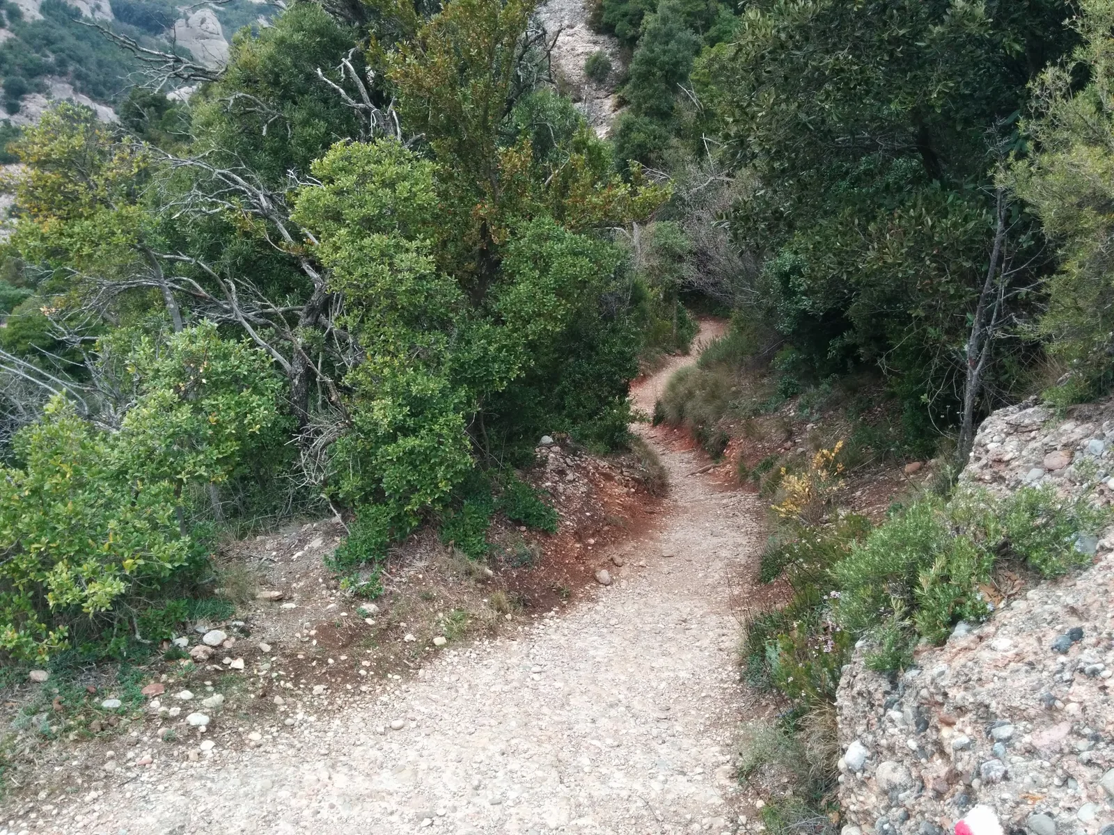 Photo from 2 April 2014