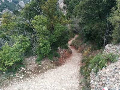 Photo from 2 April 2014