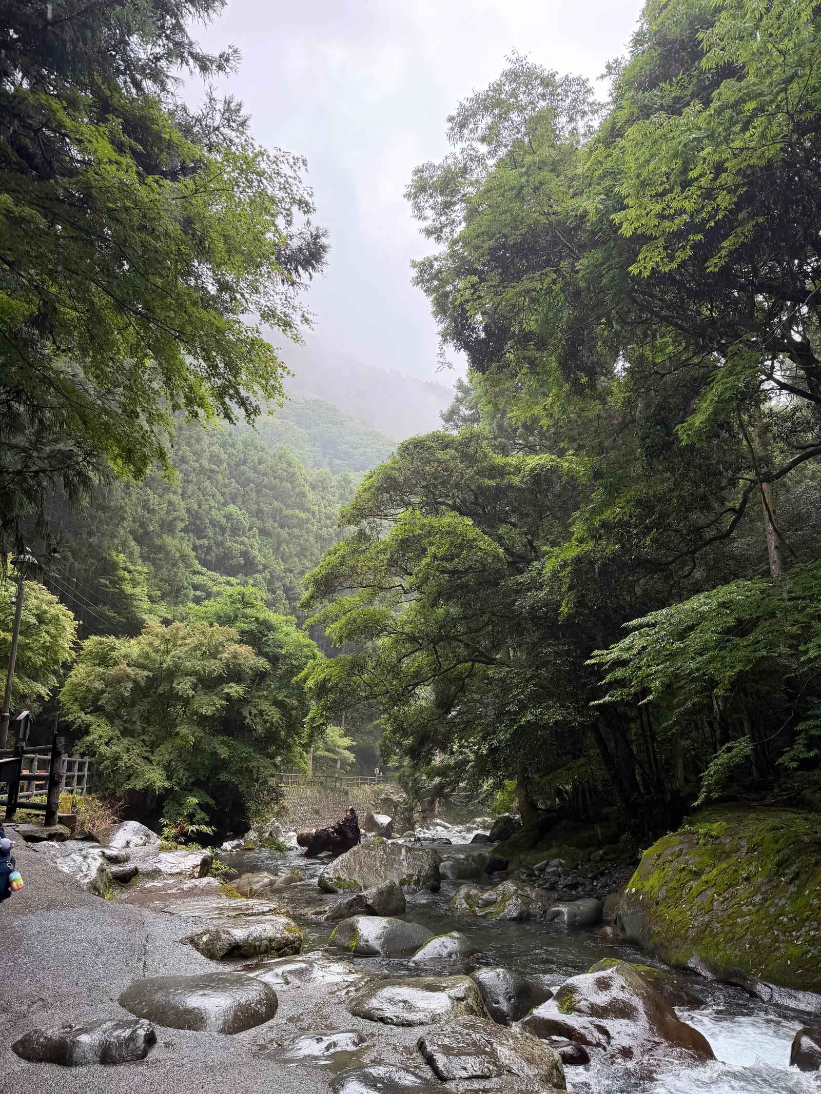 Kawazu-ikadaba, Japan — 20 June 2026