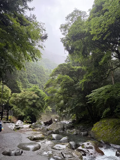 Kawazu-ikadaba, Japan — 20 June 2026