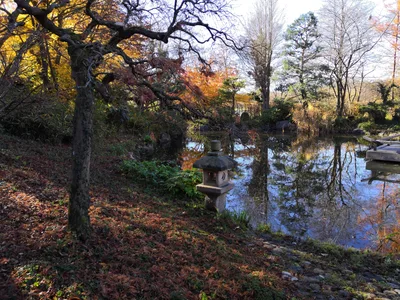 Neuried, Germany — 12 November 2018
