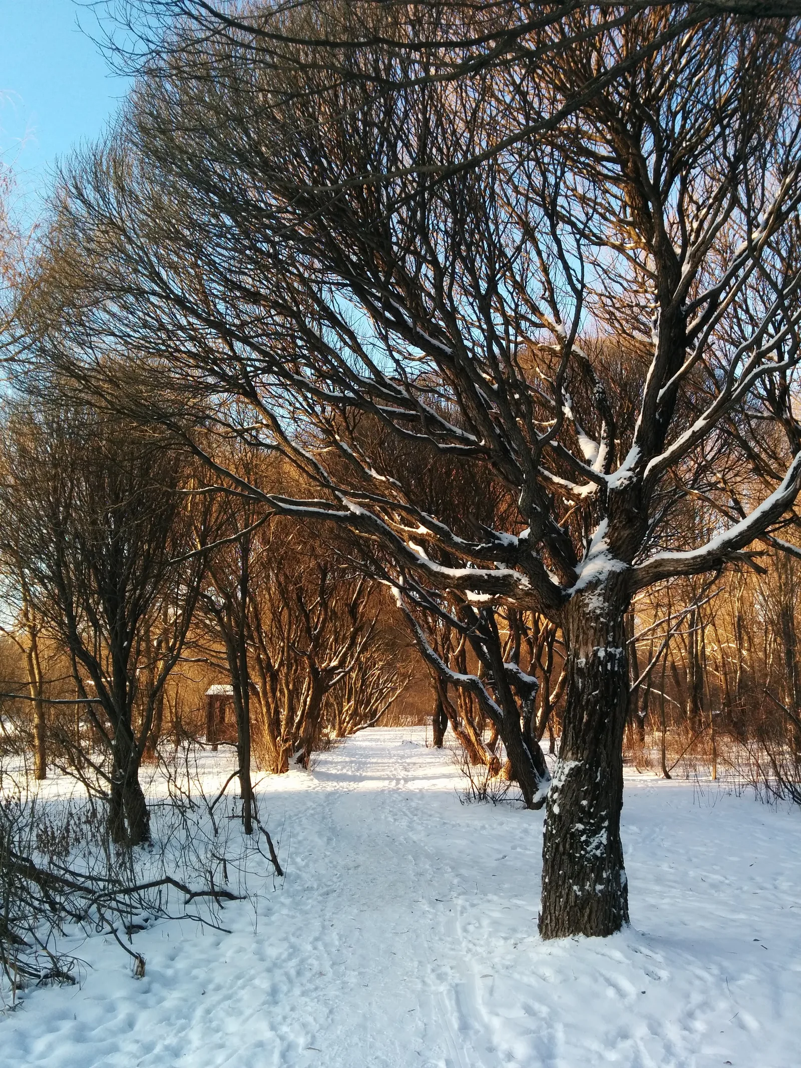 Photo from 7 January 2015