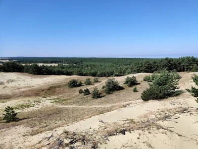 Nida, Lithuania — 18 July 2020