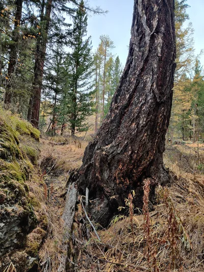 Aktash, Russia — 23 September 2020