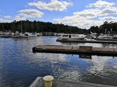Photo from 15 June 2019