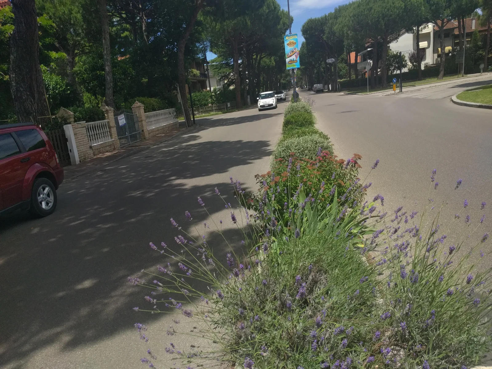 Photo from 17 June 2016