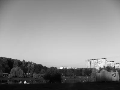 Photo from 10 October 2010