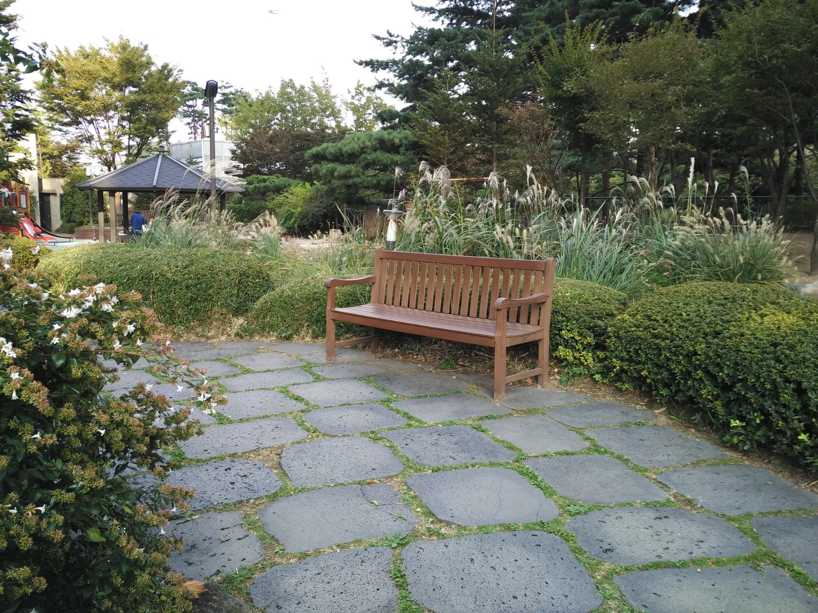 Photo from 17 October 2016
