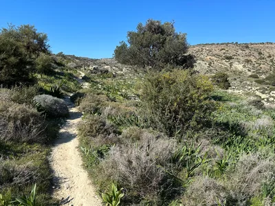 Pissoúri, Cyprus — 19 February 2023