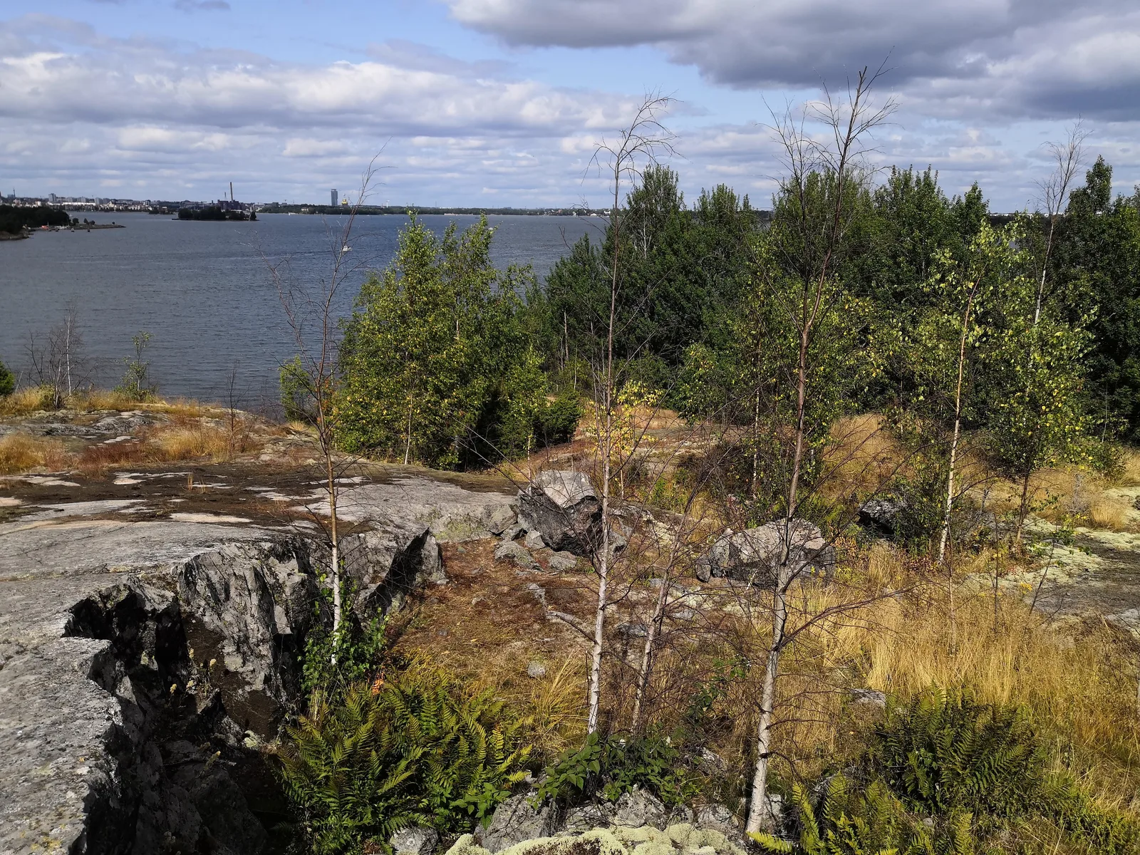 Photo from 3 August 2019