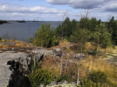 Photo from 3 August 2019