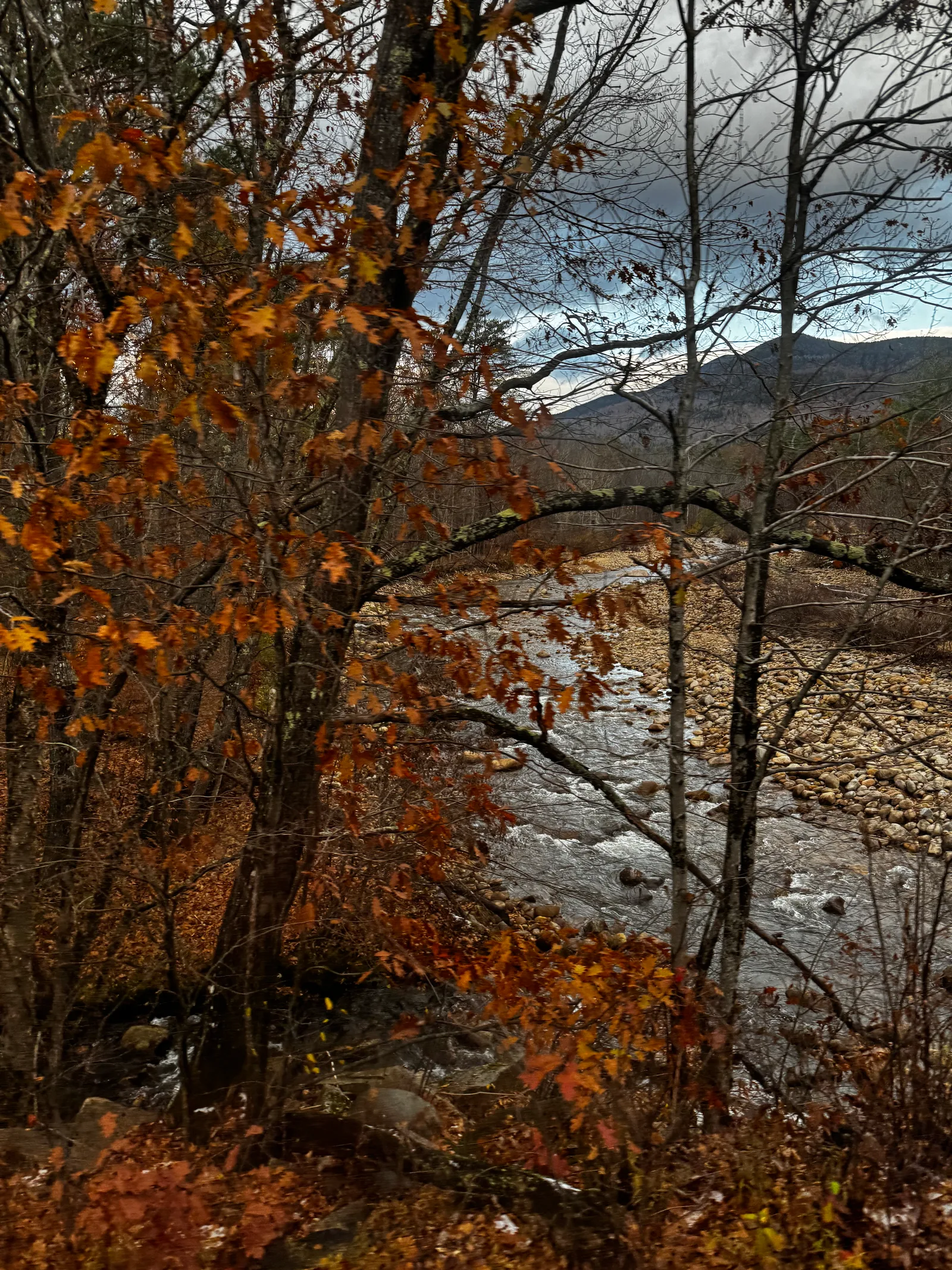 North Conway, United States — 10 November 2023