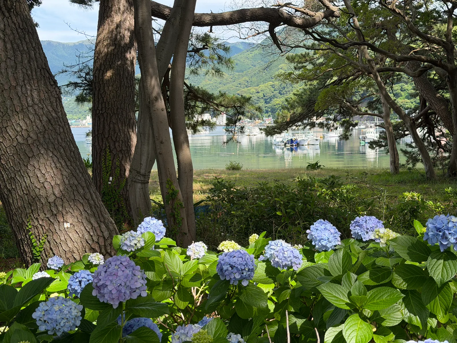 Heda, Japan — 18 June 2026