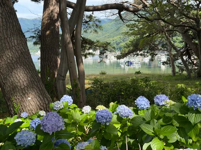 Heda, Japan — 18 June 2026
