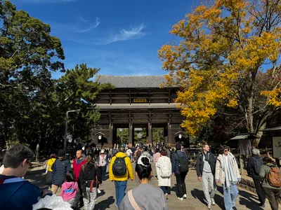 Nara-shi, Japan — 25 November 2024