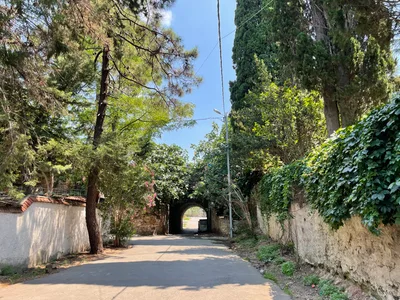 Adalar, Turkey — 26 July 2021