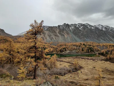 Photo from 22 September 2020