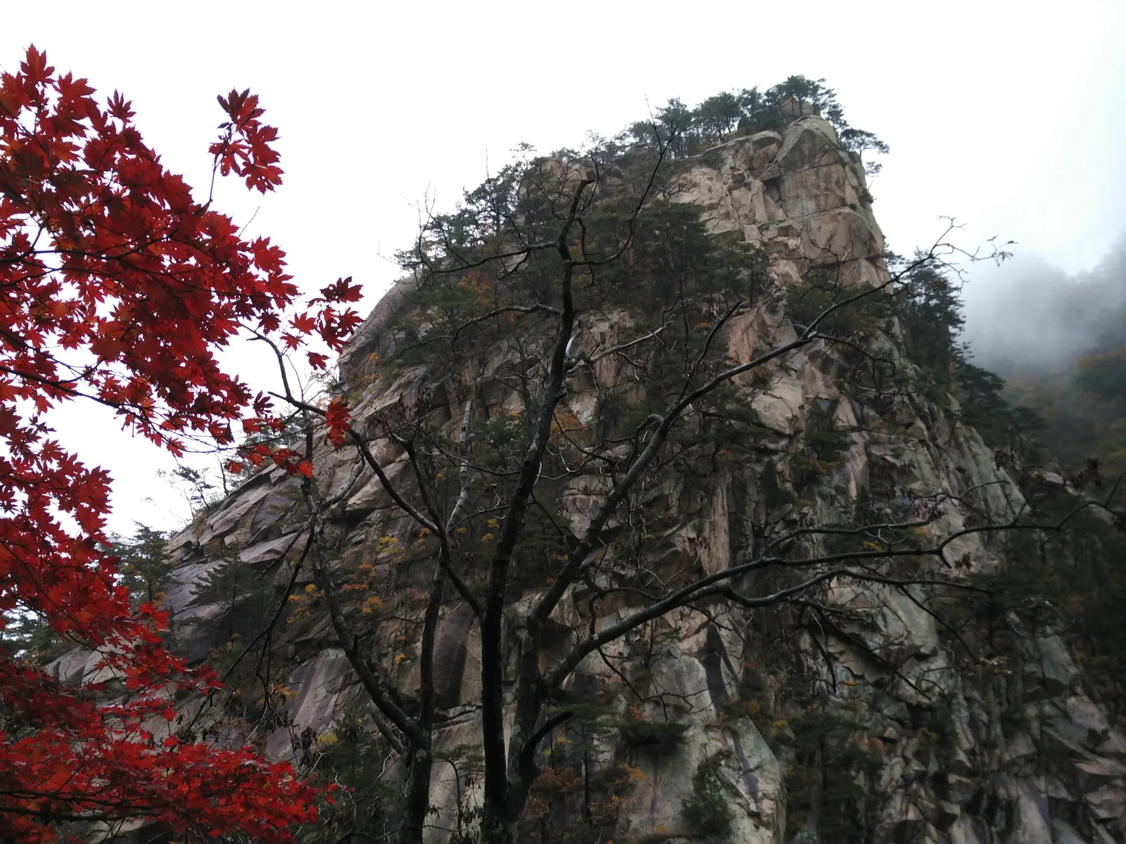 Photo from 21 October 2016