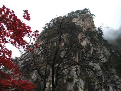 Photo from 21 October 2016