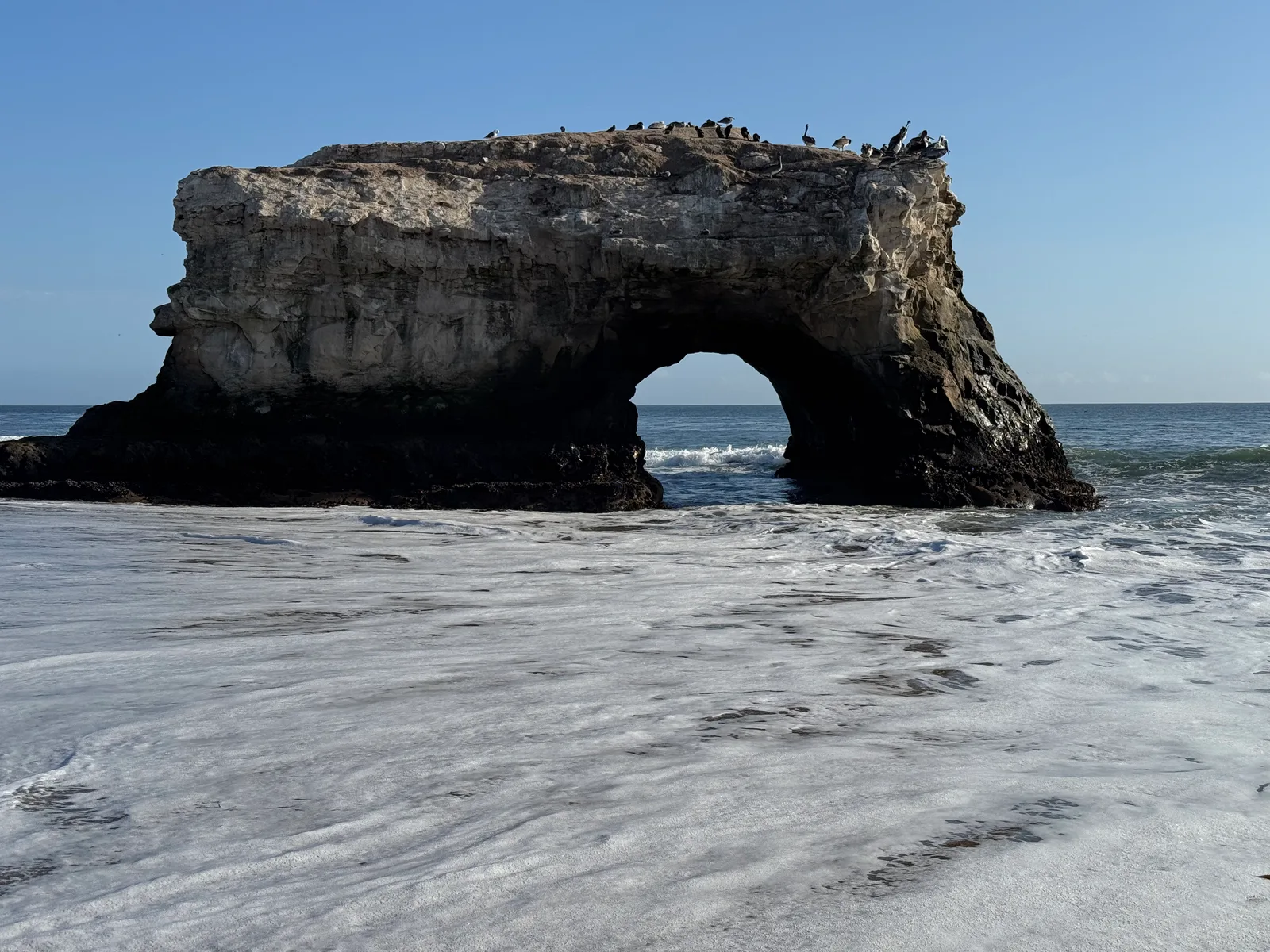 Santa Cruz, United States — 22 October 2025