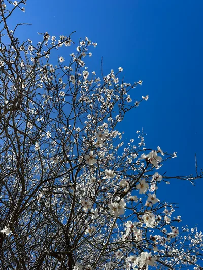 Peléndri, Cyprus — 4 March 2023