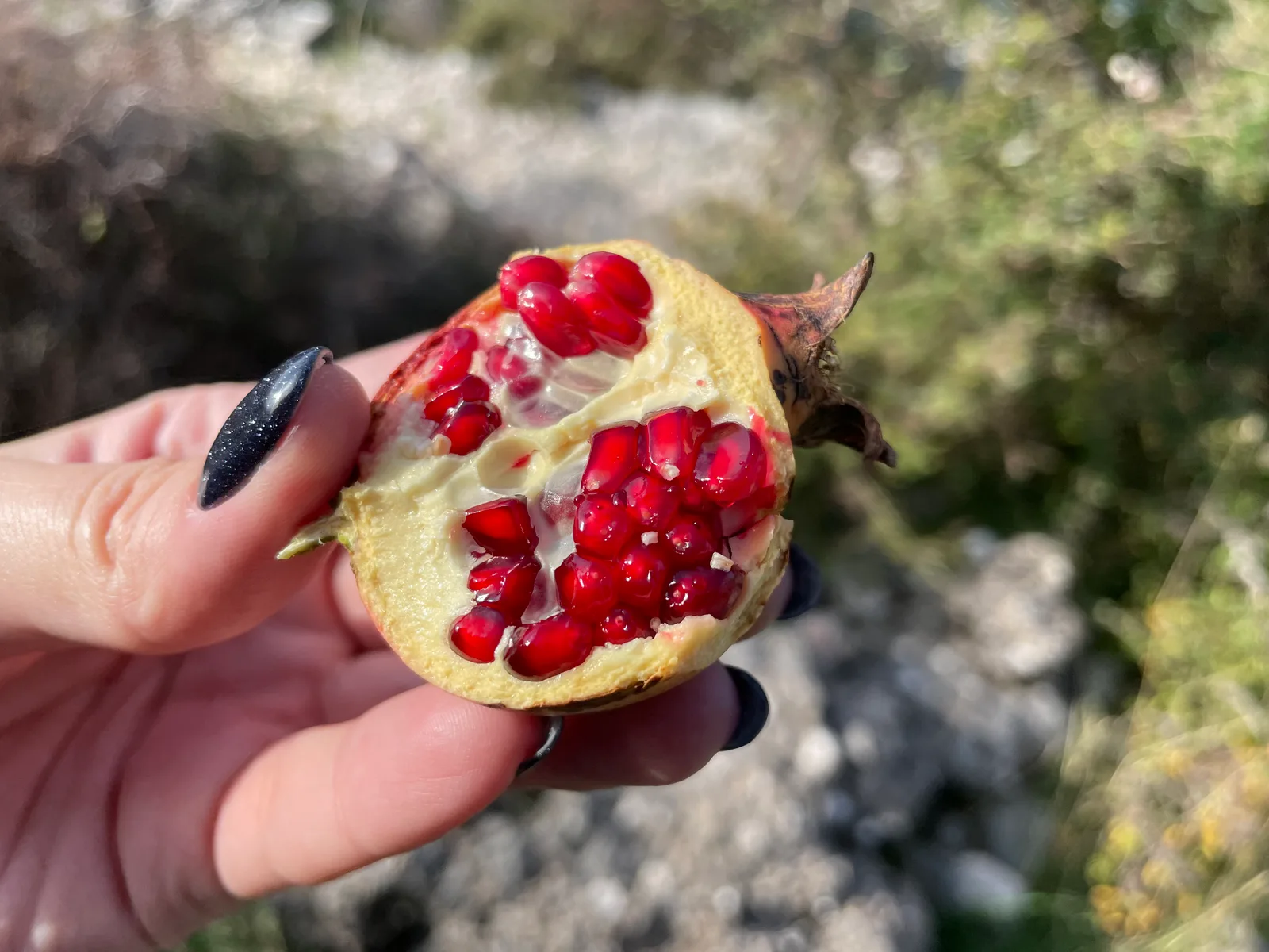 Kotor, Montenegro — 13 November 2021