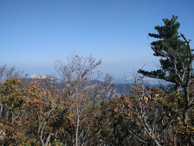 Sokcho, South Korea — 19 October 2016