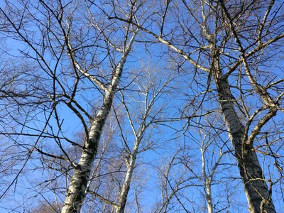 Pokrovskoye-Streshnëvo, Russia — 2 November 2017