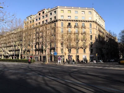 Photo from 10 March 2019