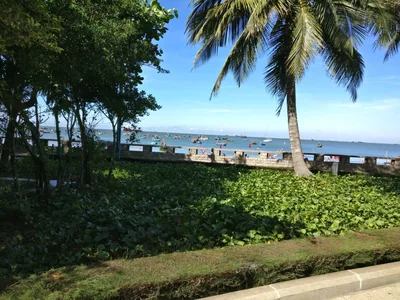 Vũng Tàu, Vietnam — 16 November 2017