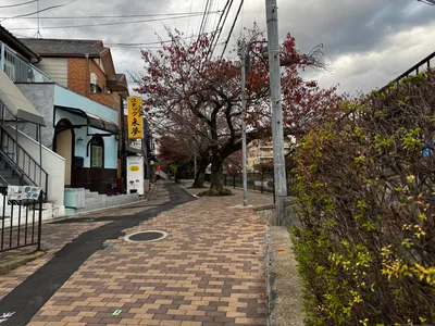 Mukō, Japan — 27 November 2024