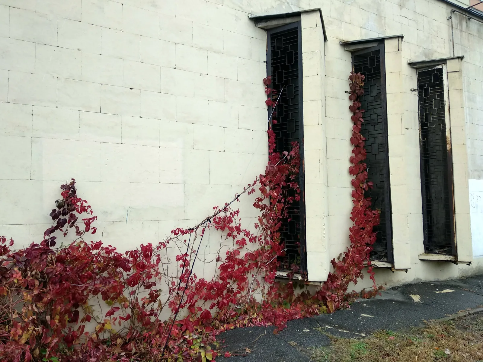 Photo from 20 October 2017