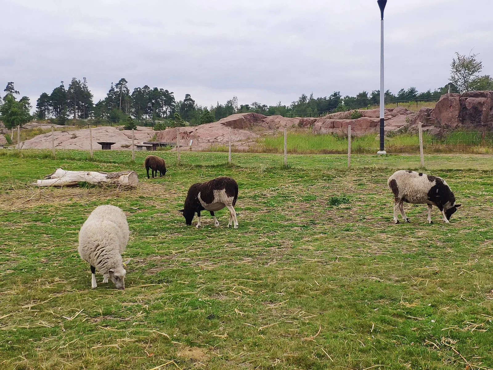 Photo from 1 August 2019