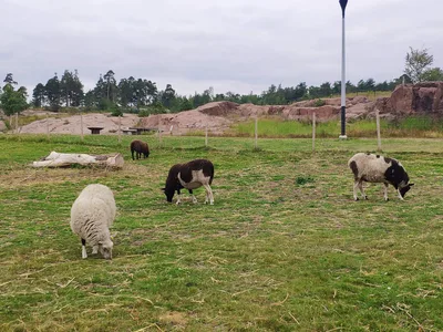 Photo from 1 August 2019