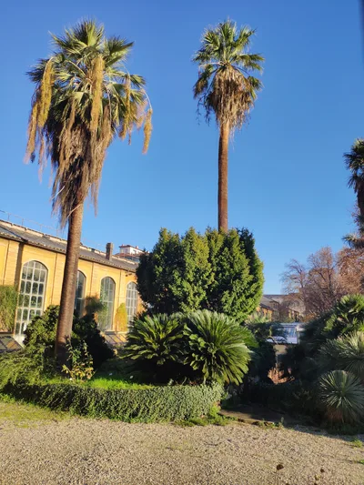 Photo from 10 December 2018