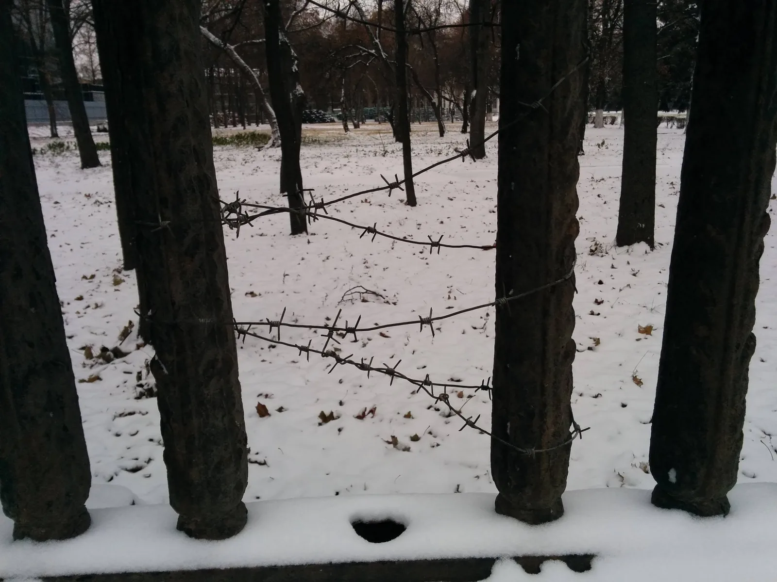 Photo from 15 November 2015