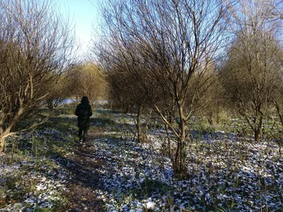 Pokrovskoye-Streshnëvo, Russia — 2 November 2017