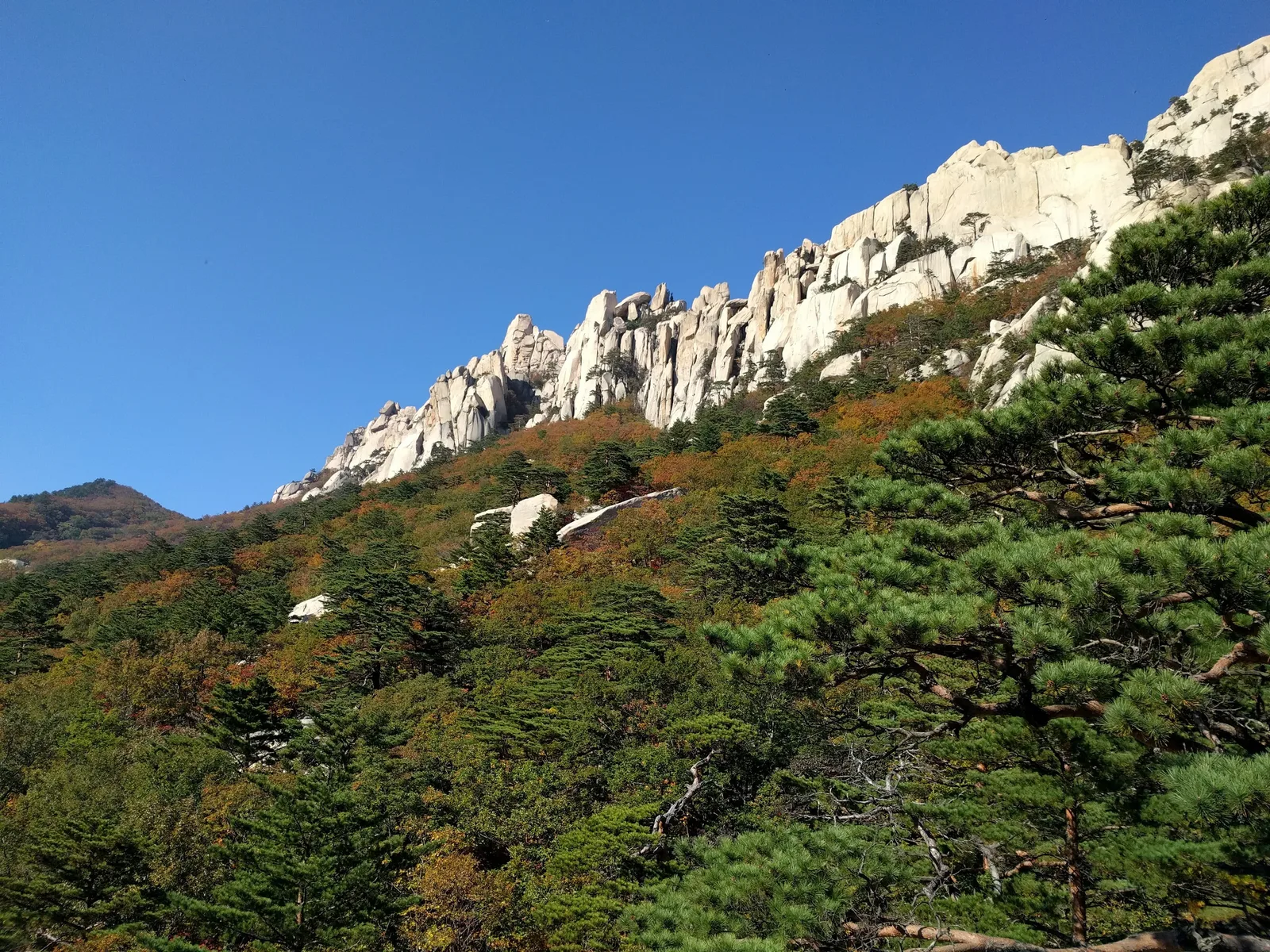 Toseong, South Korea — 19 October 2016