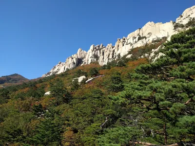 Toseong, South Korea — 19 October 2016
