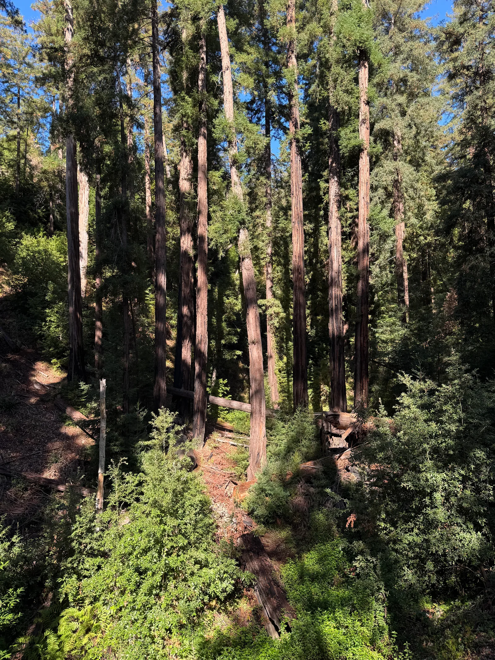 Carmel Valley Village, United States — 23 October 2025