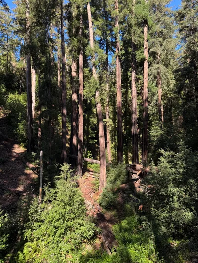 Carmel Valley Village, United States — 23 October 2025