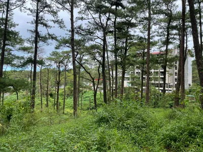 Baguio, Philippines — 27 August 2022