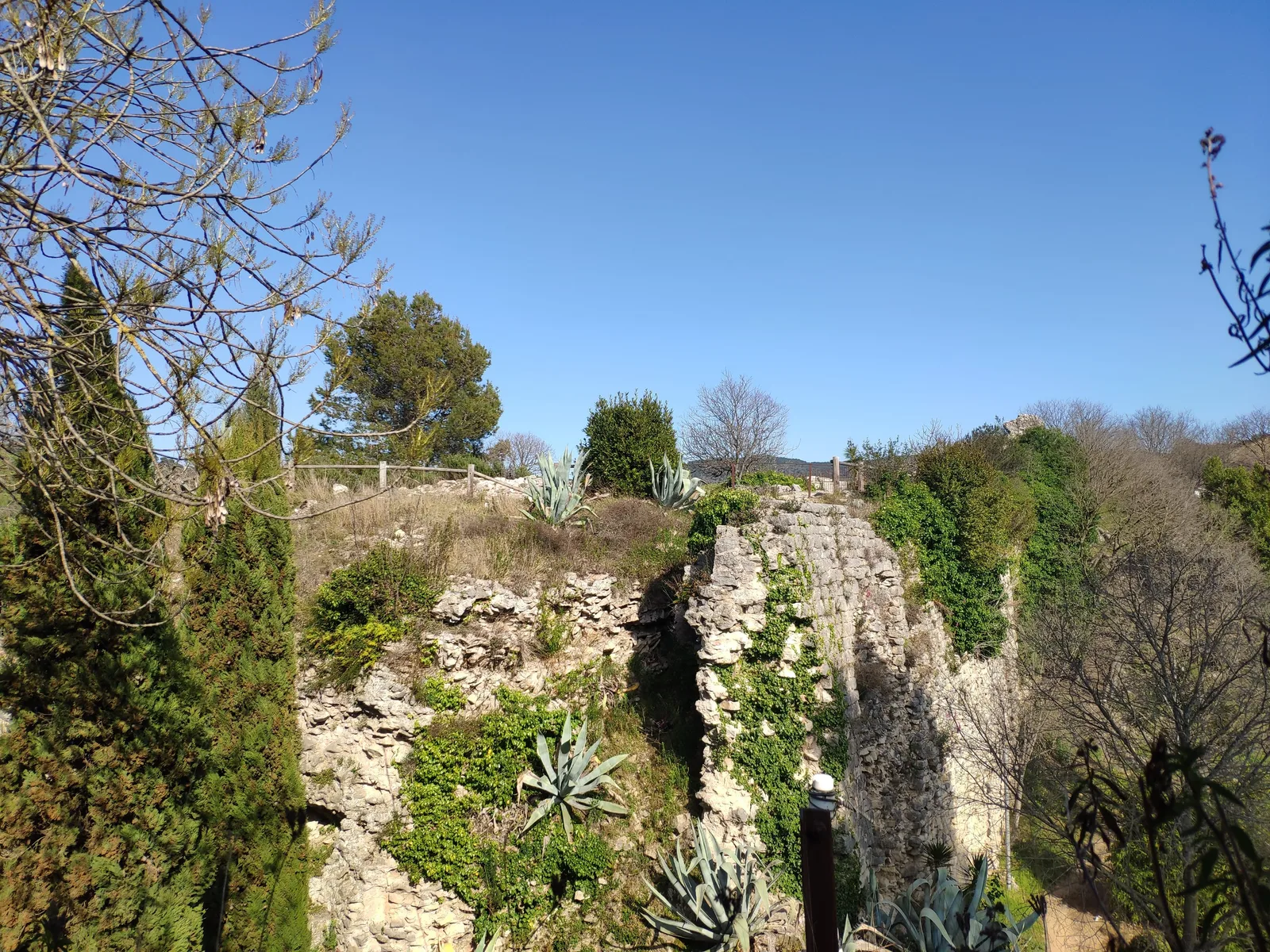 Photo from 11 March 2019