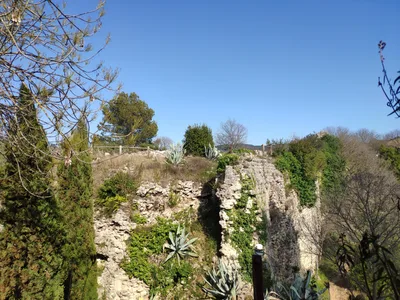 Photo from 11 March 2019