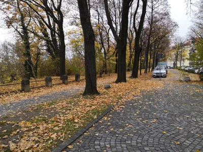 Munich, Germany — 10 November 2018