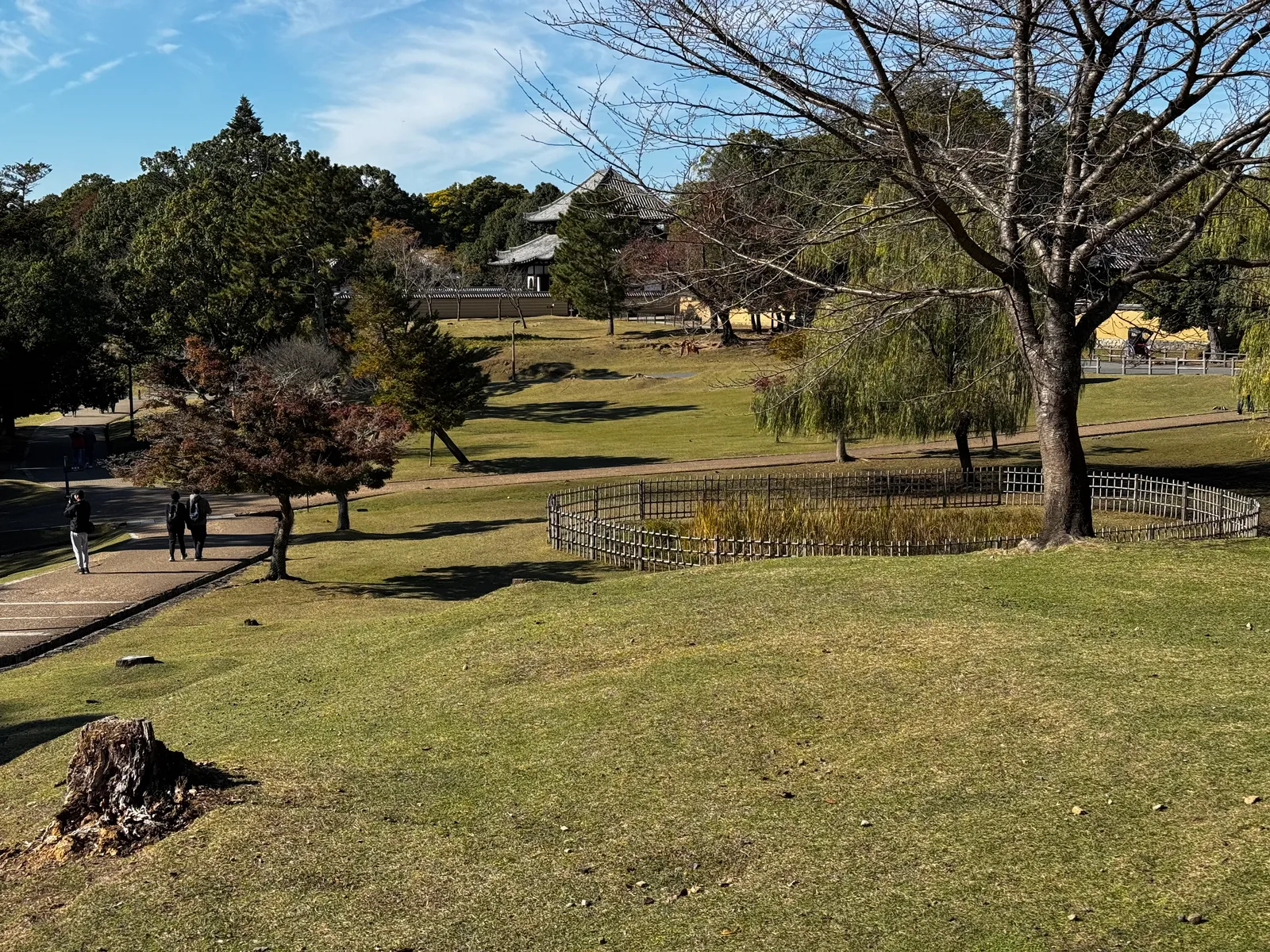 Nara-shi, Japan — 25 November 2024